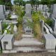 墓草